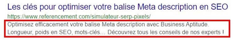 exemple-balise-meta-description 