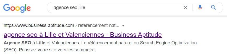 titre-snippet-business-aptitude 