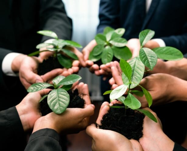 agence-digitale-arras 