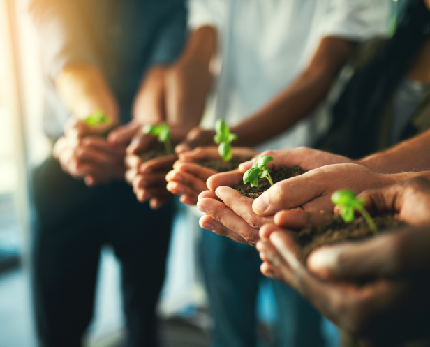 agence-digitale-nord 