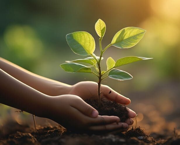 agence-digitale-seo-arras