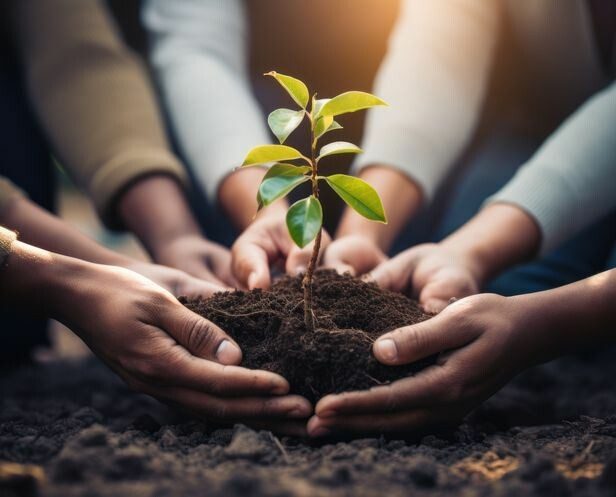 agence-digitale-seo-cambrai 