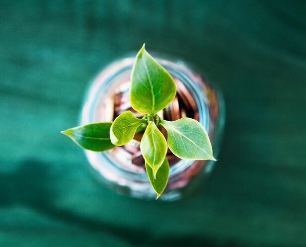 agence-digitale-seo-lens