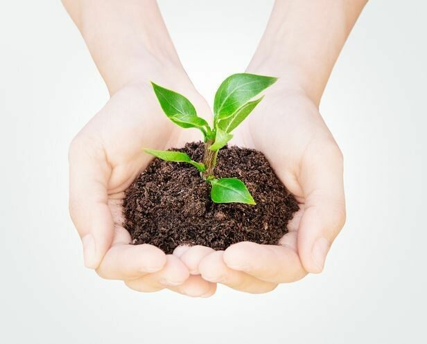 agence-digitale-seo-lesquin 