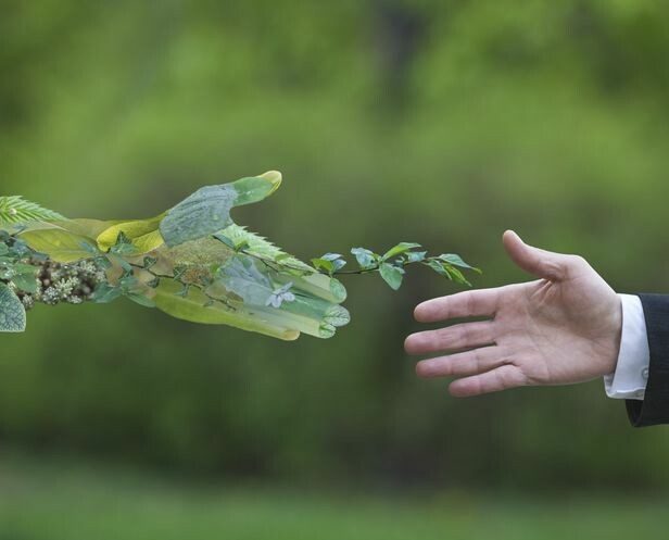 agence-digitale-seo-croix 