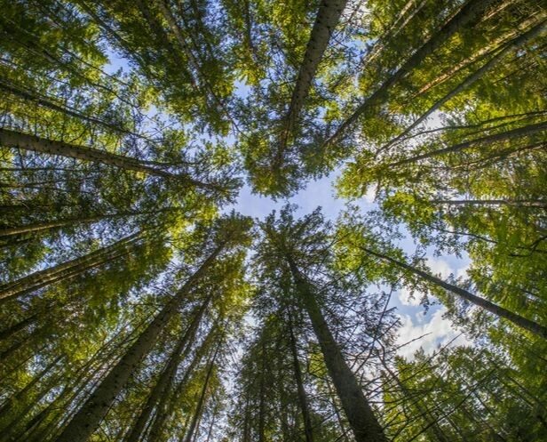 agence-digitale-seo-marquette-lez-lille 