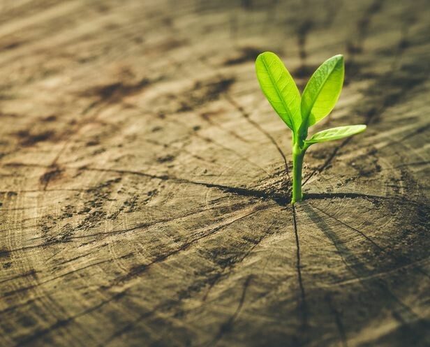 agence-digitale-seo-wattrelos